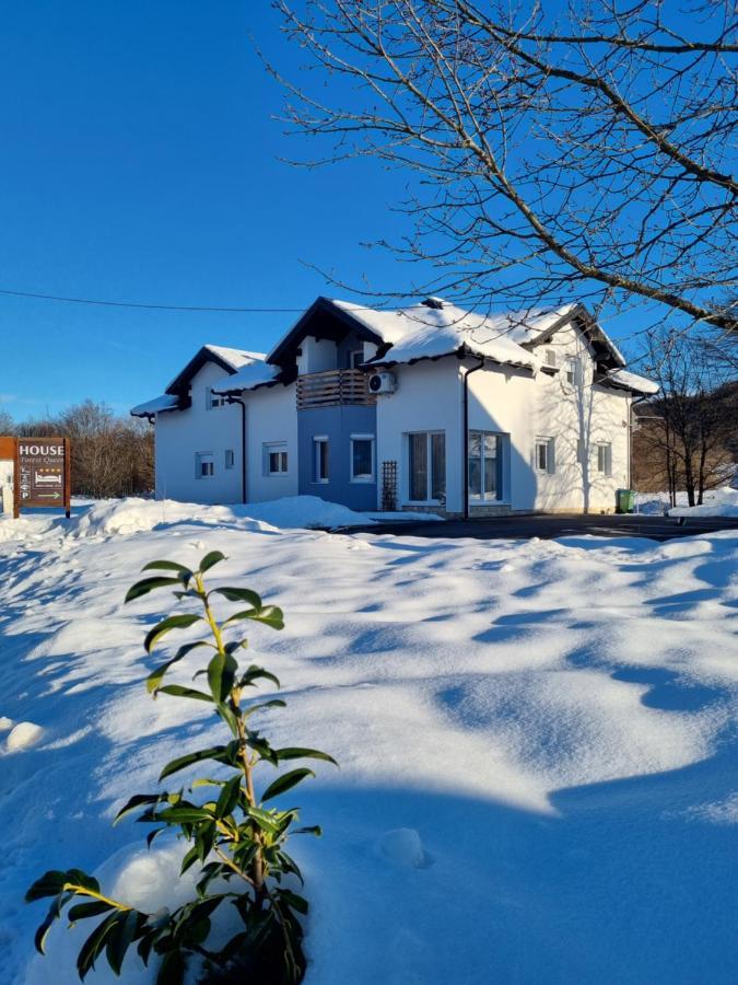House Forest Queen Smoljanac Exterior photo